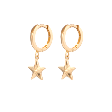 Small Star Hoop Earrings