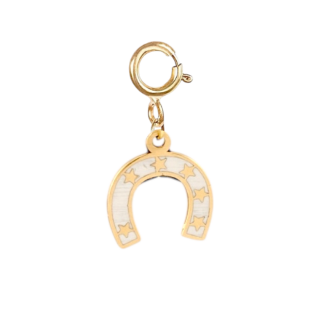Horseshoe Lucky Charm